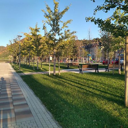 Apartman Sani Доньи-Милановац Экстерьер фото